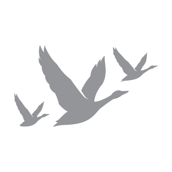 Brand Logo 3